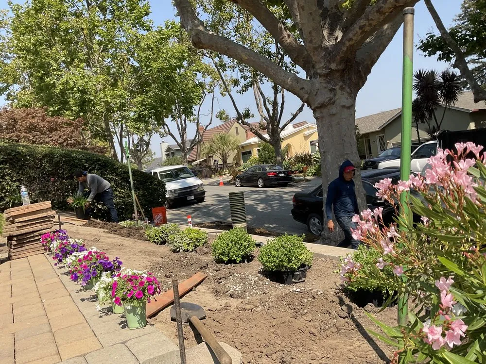 Top-rated garden landscaping for homes across Redwood City, CA - Lupe Garden Landscaping