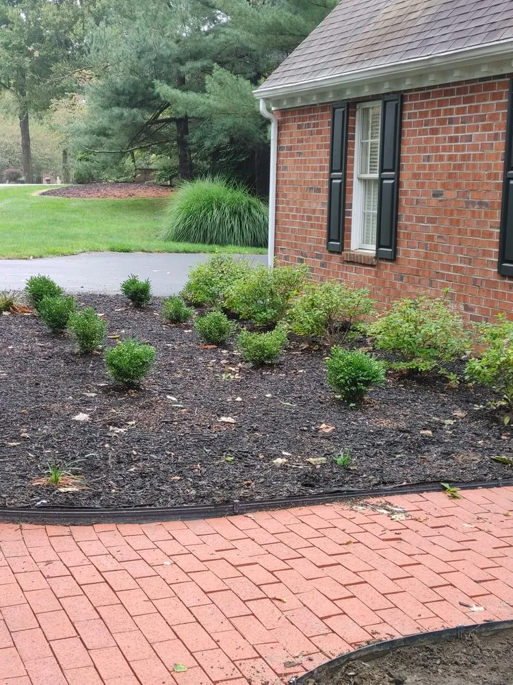 Top-rated yard cleanup service experts serving Pickerington, OH - Lupe Montanez