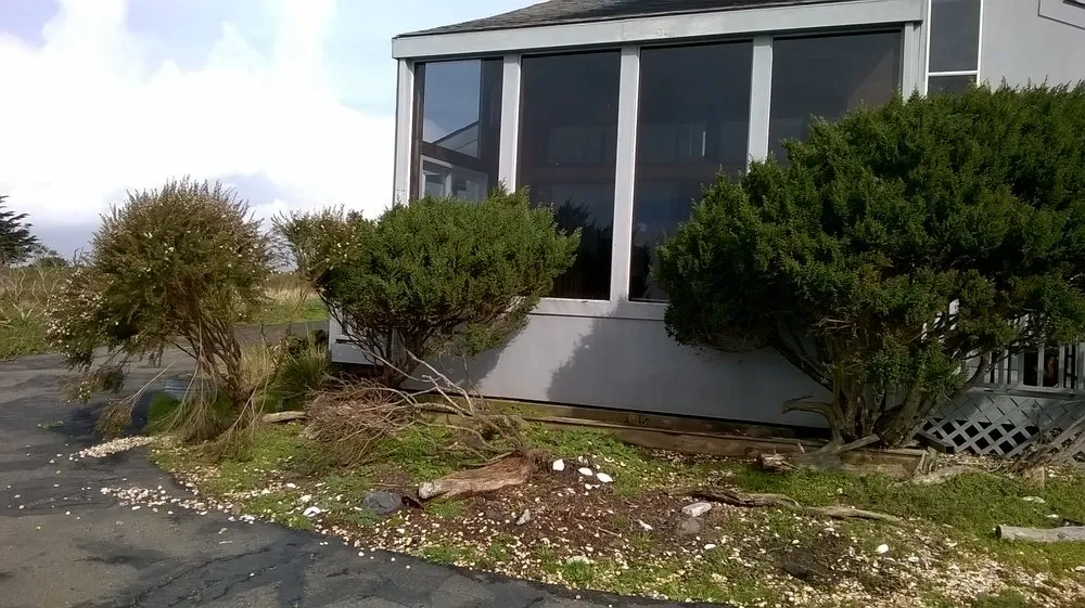 Trusted landscape installation experts serving Tomales, CA - Lupe Sanchez