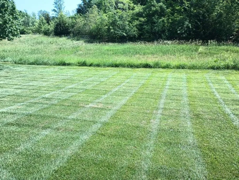 Trusted landscape installation for homes across Independence, MO - Lupercio Land Designs