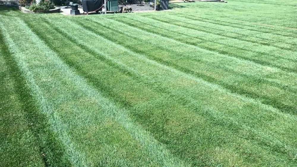 Reliable landscaping services experts serving Independence, MO - Lupercio Land Designs