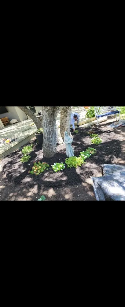 Expert garden landscaping for residential properties in Cedar Park, TX by Lupercio's Home Solution