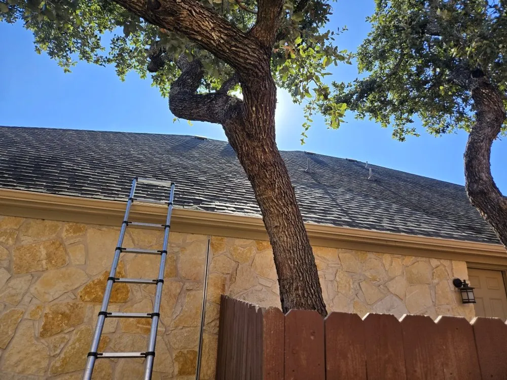 Trusted landscaping services in Cedar Park, TX - Lupercio's Home Solution