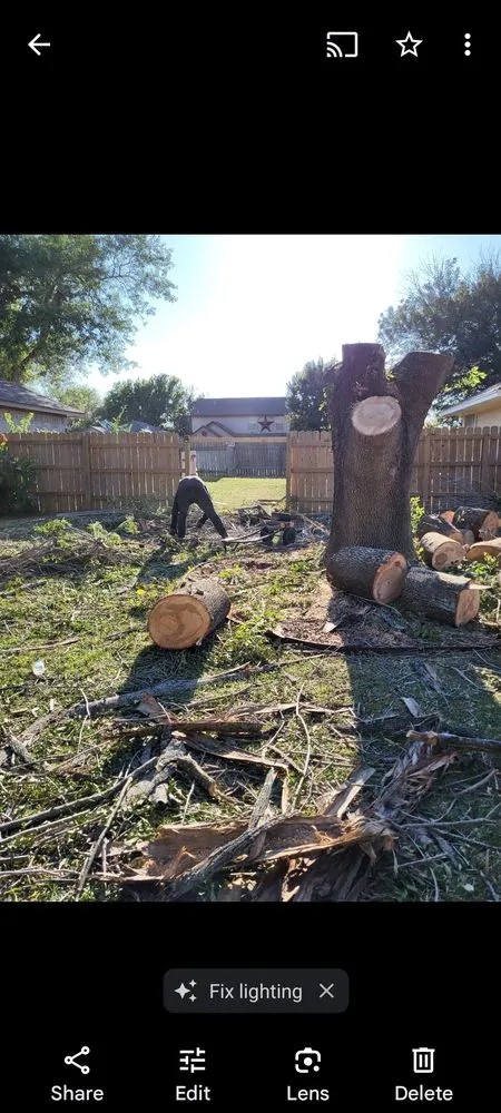 Expert landscape design experts serving Cedar Park, TX - Lupercio's Home Solution