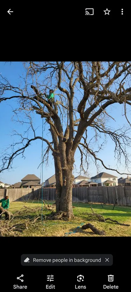 Custom yard cleanup service in Cedar Park, TX - Lupercio's Home Solution