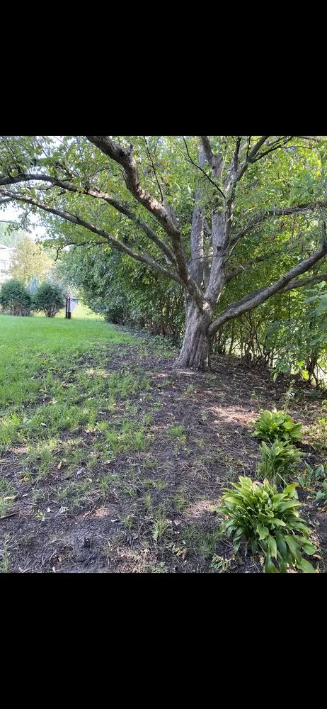 Custom residential landscaping in Apple Valley, MN by Lupe’s Landscape