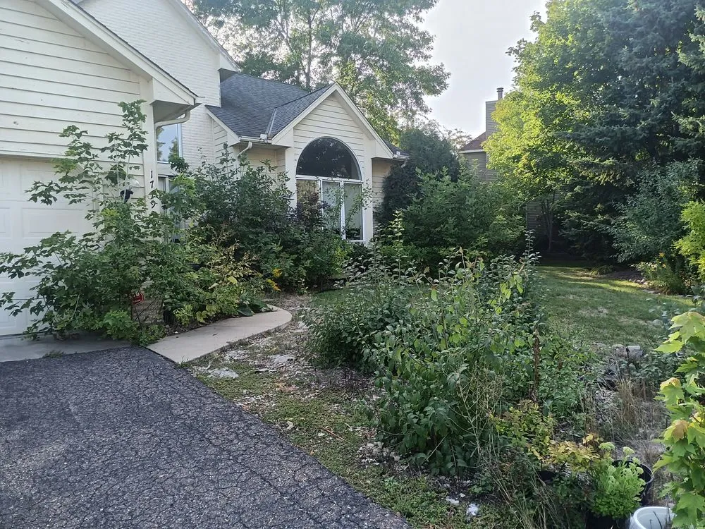 Local lawn mowing service in Apple Valley, MN - Lupe’s Landscape