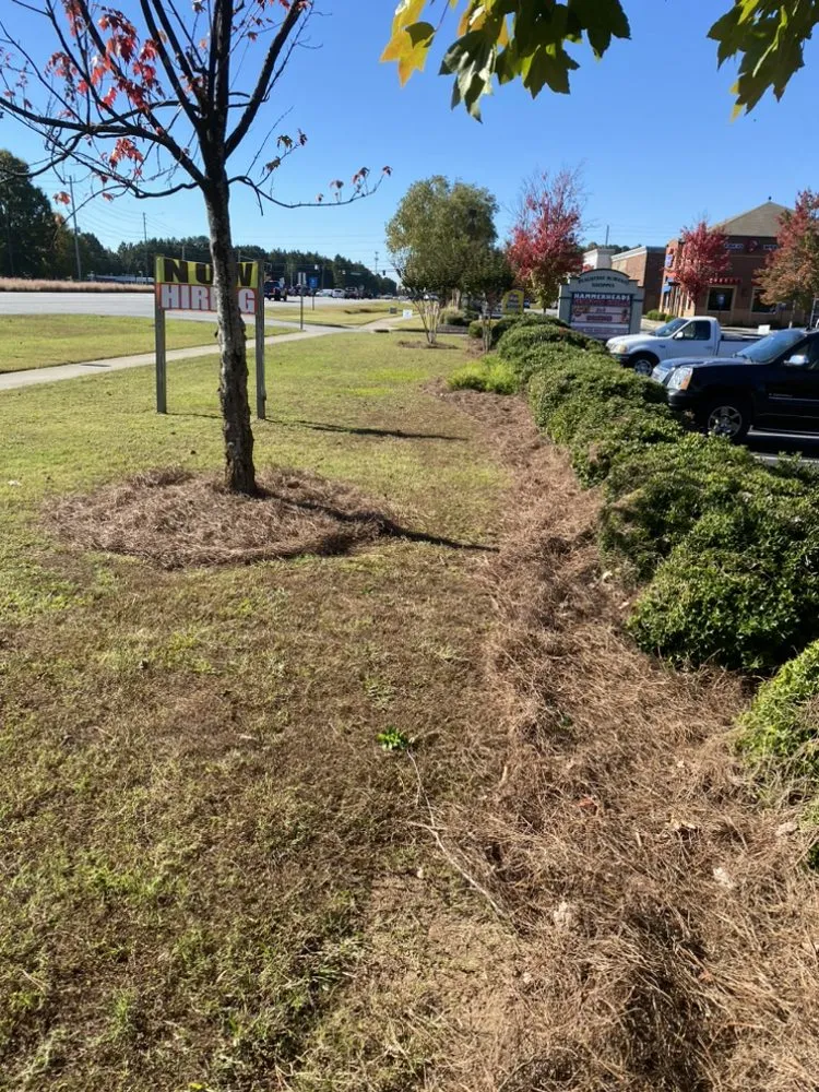 Top-rated lawn mowing service experts serving Atlanta, GA - Lupe’s Landscaping