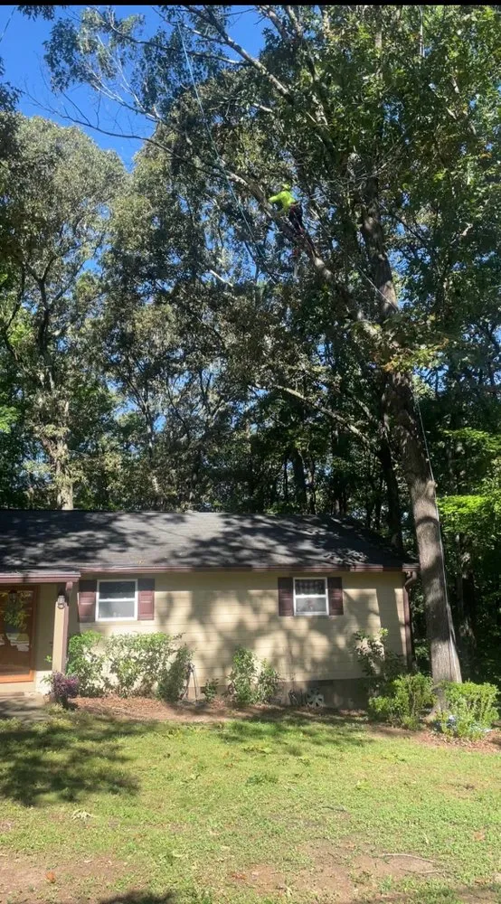 Affordable yard maintenance in Atlanta, GA - Lupe’s Landscaping