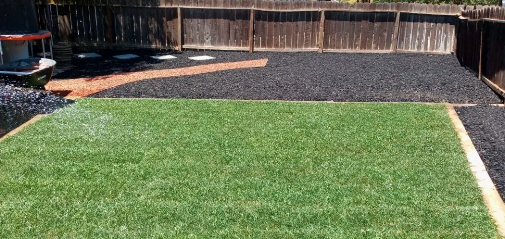 Trusted lawn care service in Salida, CA by Lupe's Landscaping &maintenance