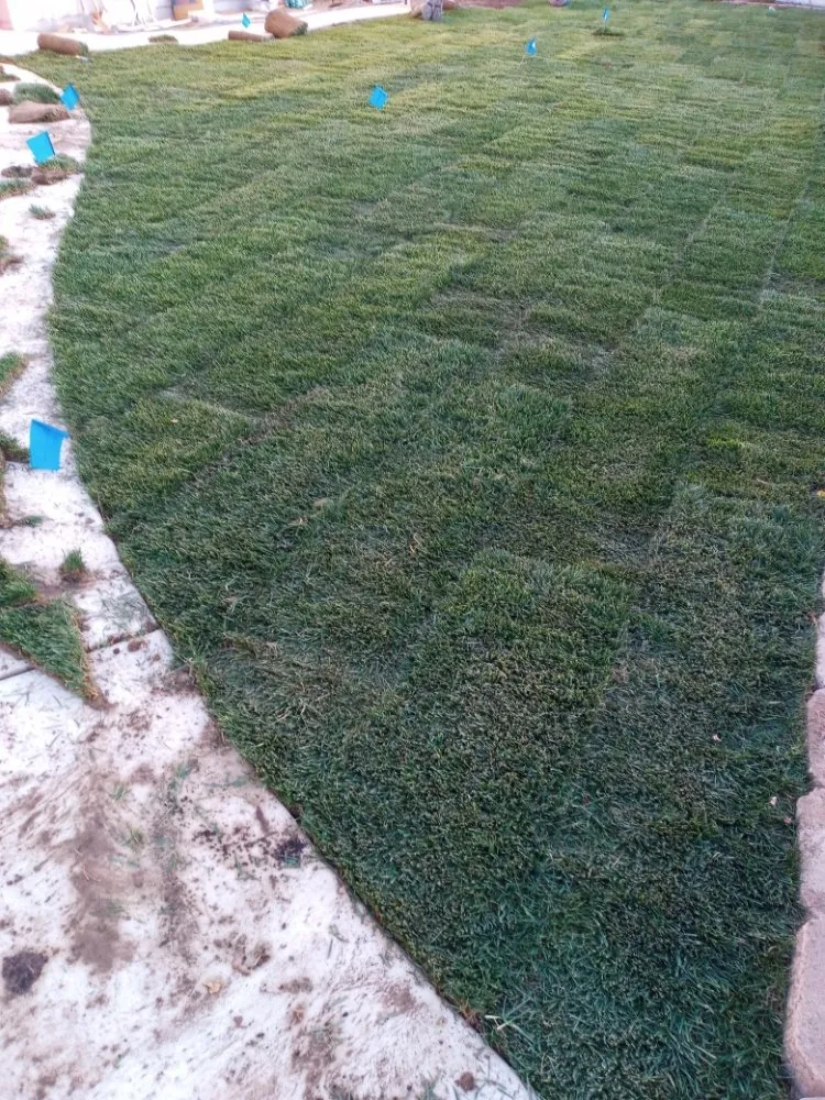 Affordable landscaping services for beautiful yards across Salida, CA - Lupe's Landscaping &maintenance