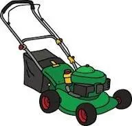 Local yard cleanup service for outdoor upgrades in Corpus Christi, TX by Lupe’s Power Washing & Lawn Care