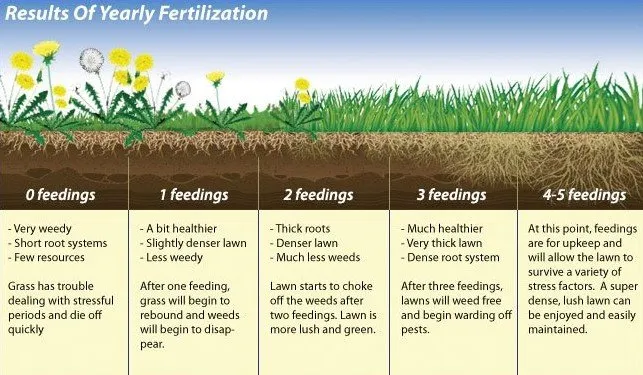 Local yard maintenance in Newton, MA by Lupien Tree & Landscape