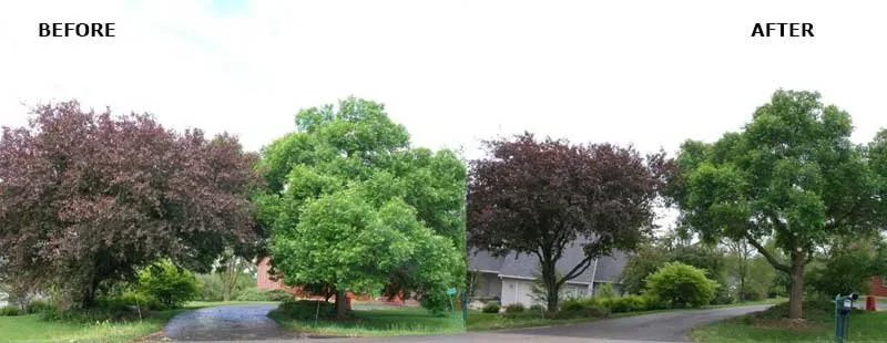 Expert landscape installation near you in Newton, MA by Lupien Tree & Landscape