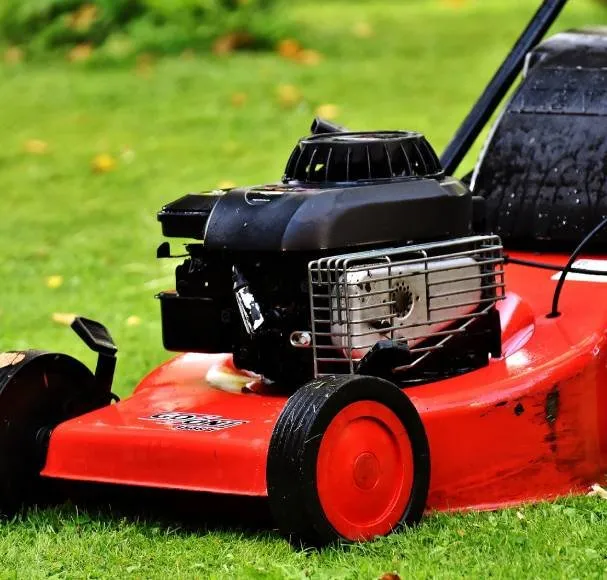 Trusted yard cleanup service with custom design in Missoula, MT by Lupine Landscape