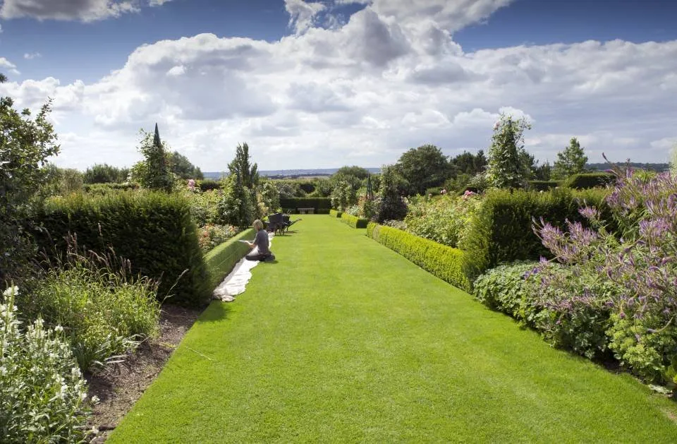 Top-rated yard cleanup service for beautiful yards across Missoula, MT - Lupine Landscape