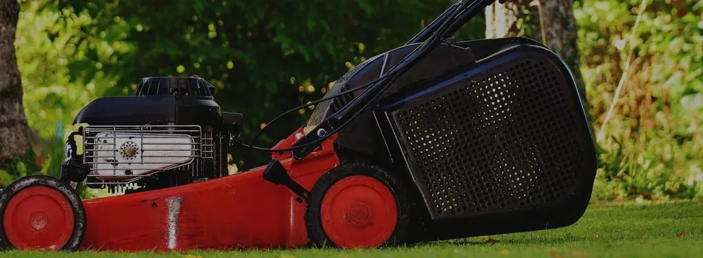 Affordable residential landscaping experts serving Missoula, MT - Lupine Landscape