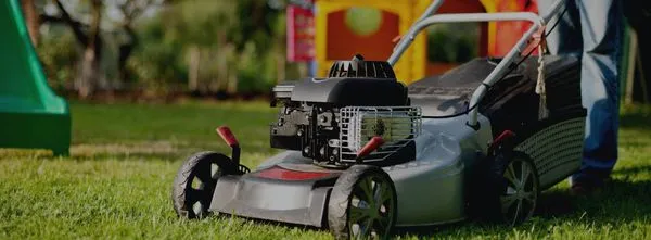 Lupine Landscape Logo