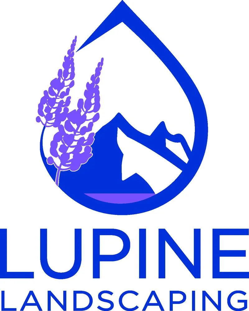 Reliable yard cleanup service for residential properties across Kings Beach, CA - Lupine Landscaping