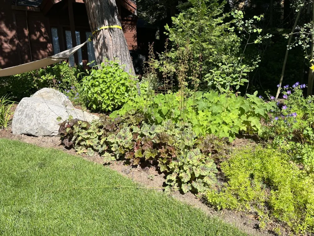 Trusted residential landscaping experts serving Kings Beach, CA - Lupine Landscaping