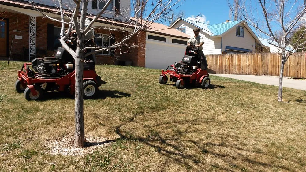 Professional landscape installation experts serving Durango, CO - Lupine Lawn Care