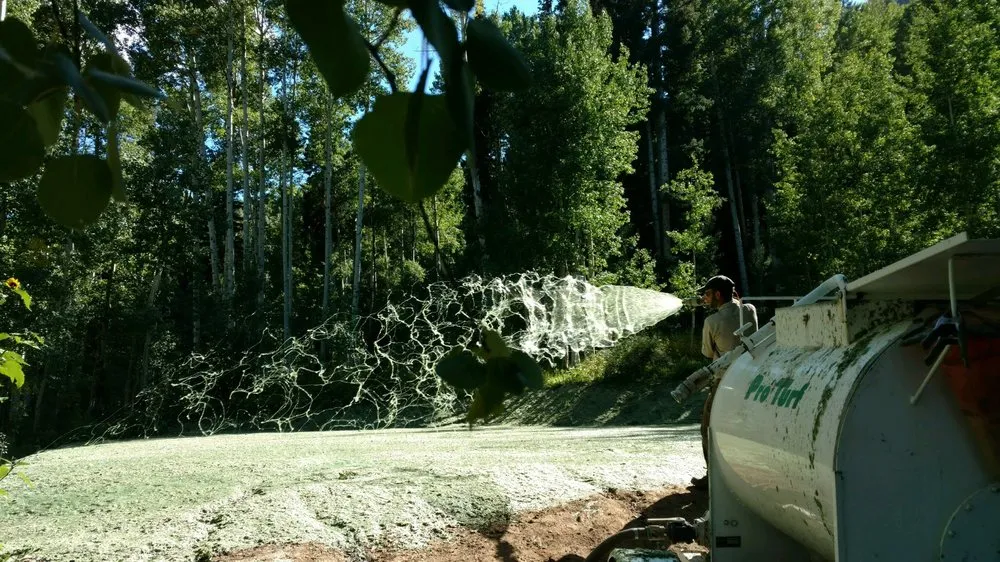 Local yard maintenance for outdoor upgrades across Durango, CO - Lupine Lawn Care