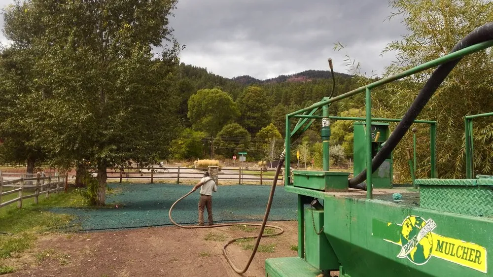 Expert yard cleanup service in Durango, CO by Lupine Lawn Care