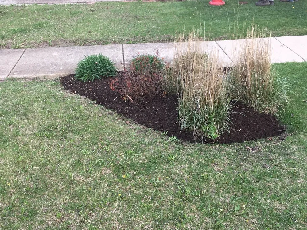 Trusted yard cleanup service in Aurora, IL - Lupita Landscaping