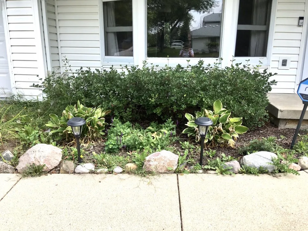 Affordable lawn care service experts serving Aurora, IL - Lupita Landscaping