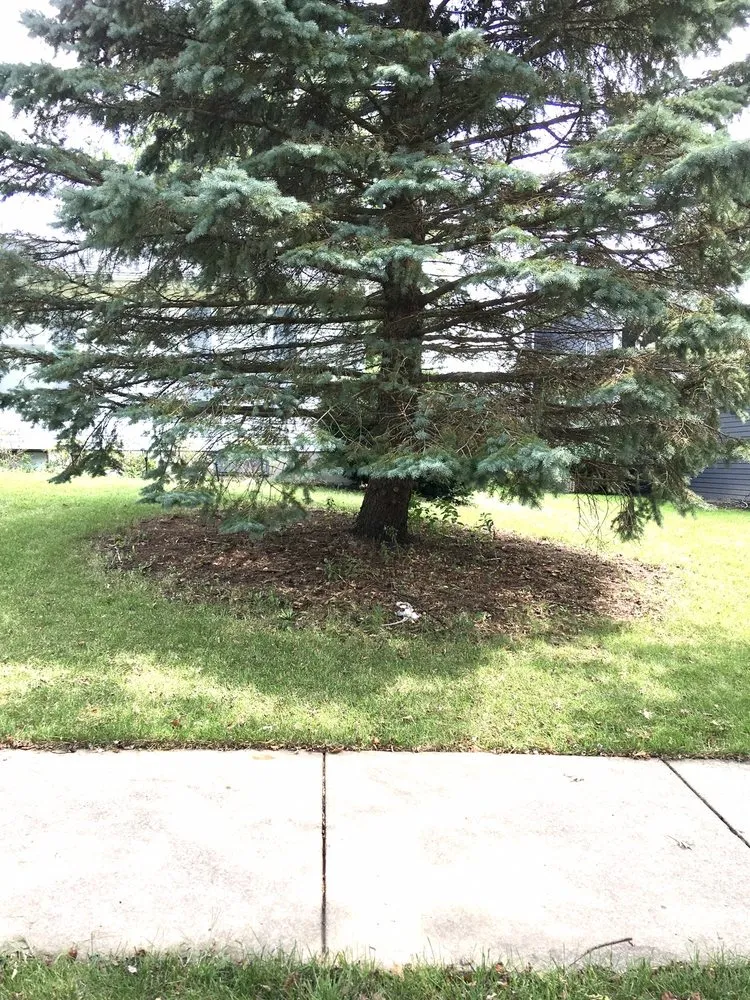 Expert landscaping services in Aurora, IL - Lupita Landscaping