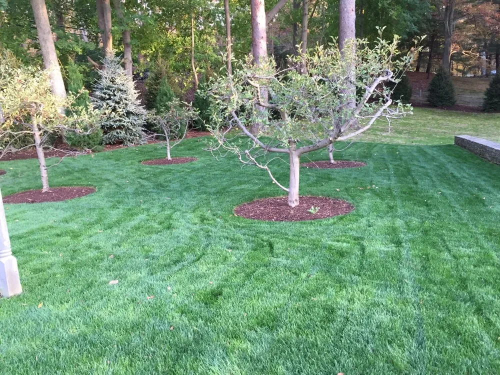 Top-rated landscape design for year-round maintenance in Mount Kisco, NY by Luppino Landscaping and Masonary