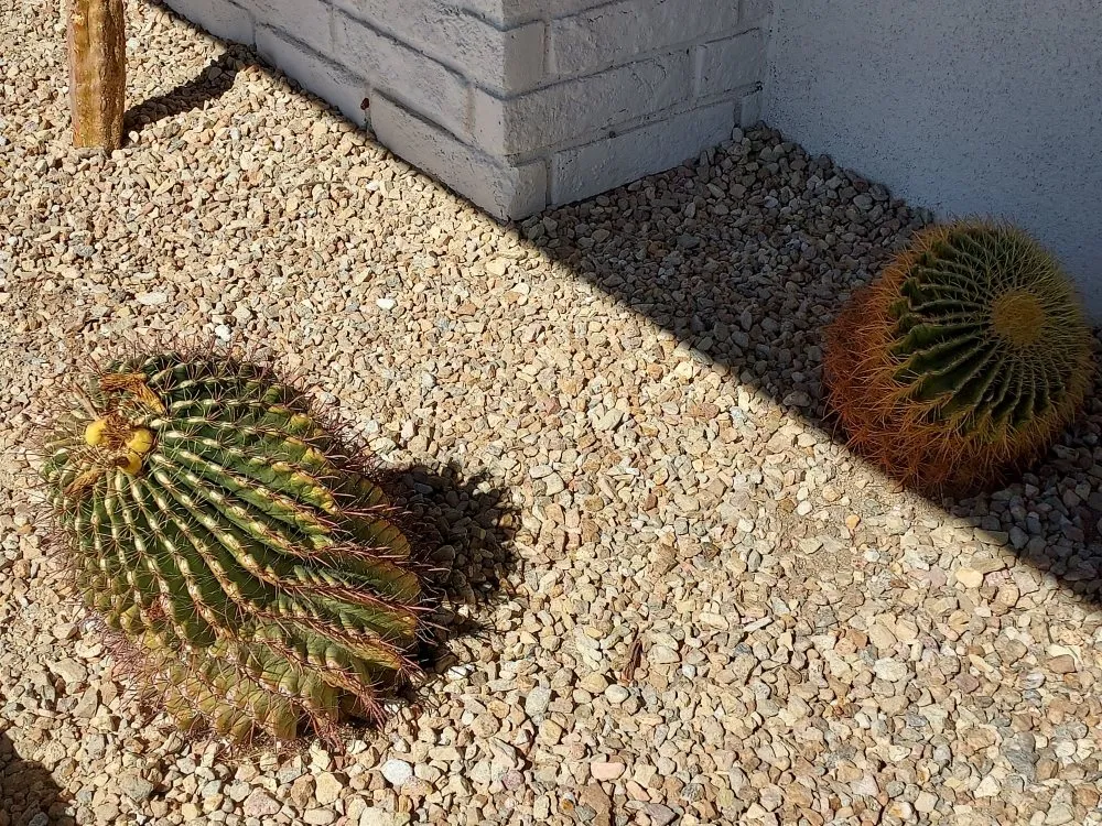 Professional landscape installation in Twentynine Palms, CA by Lu's Landscaping