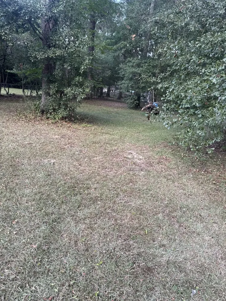 Trusted lawn mowing service near you across Theodore, AL - Lu’s Lawn Services