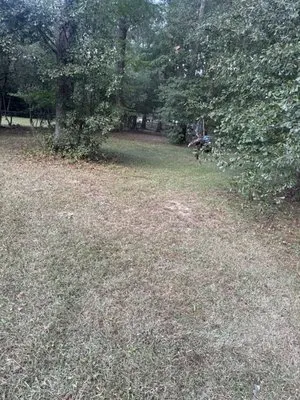 Lu’s Lawn Services Logo