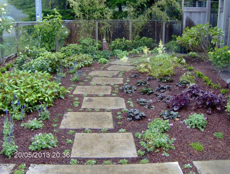 Affordable landscaping services in Eureka, CA by Luscious Landscaping