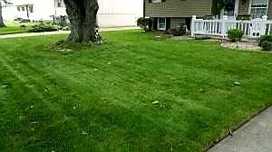 Top-rated yard cleanup service near you in Huron, OH by Luscious Lawns & Landscaping