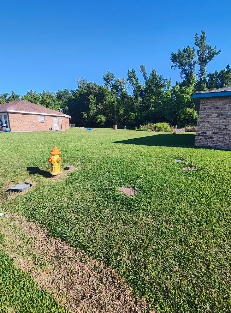 Local landscape design in Houma, LA by Luscious Lawns