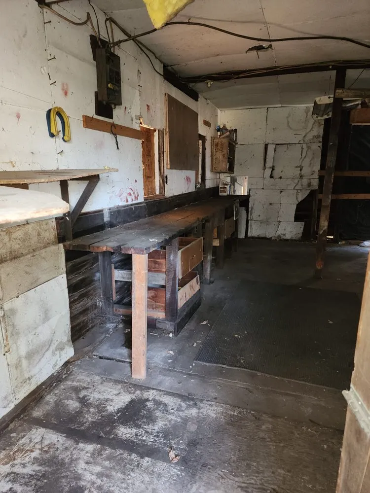 Expert yard cleanup service in Logansport, IN - Luse Lawn Care Cleaning & Removal Services