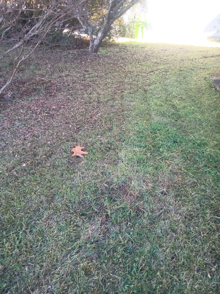Local landscape installation in Warrenton, NC - Lush Country