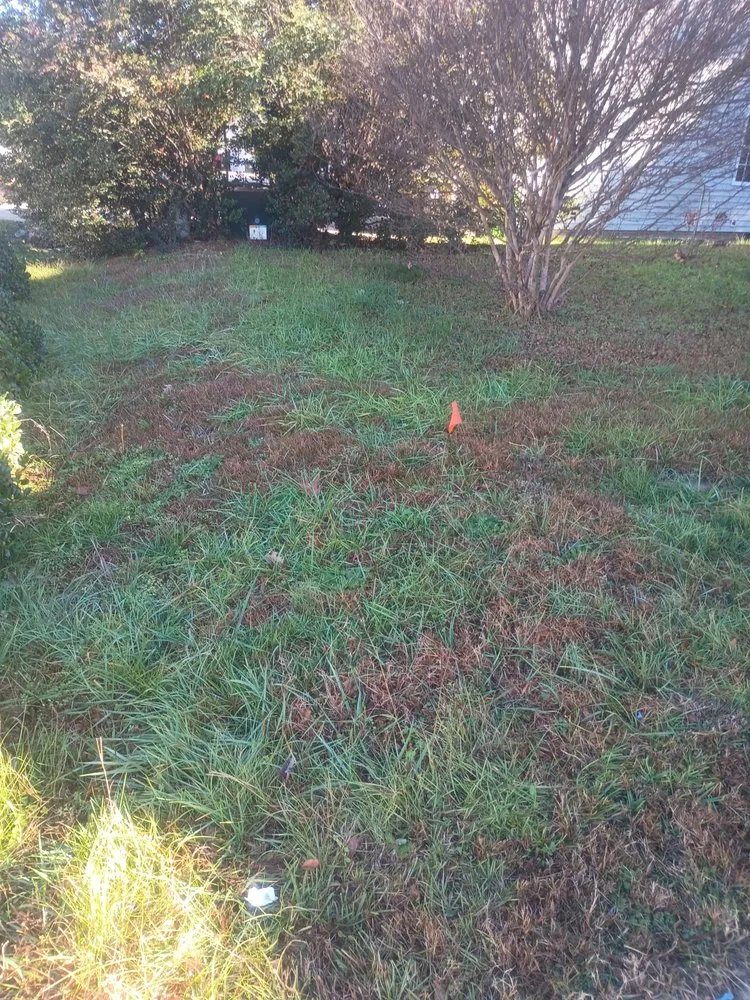 Top-rated lawn care service experts serving Warrenton, NC - Lush Country