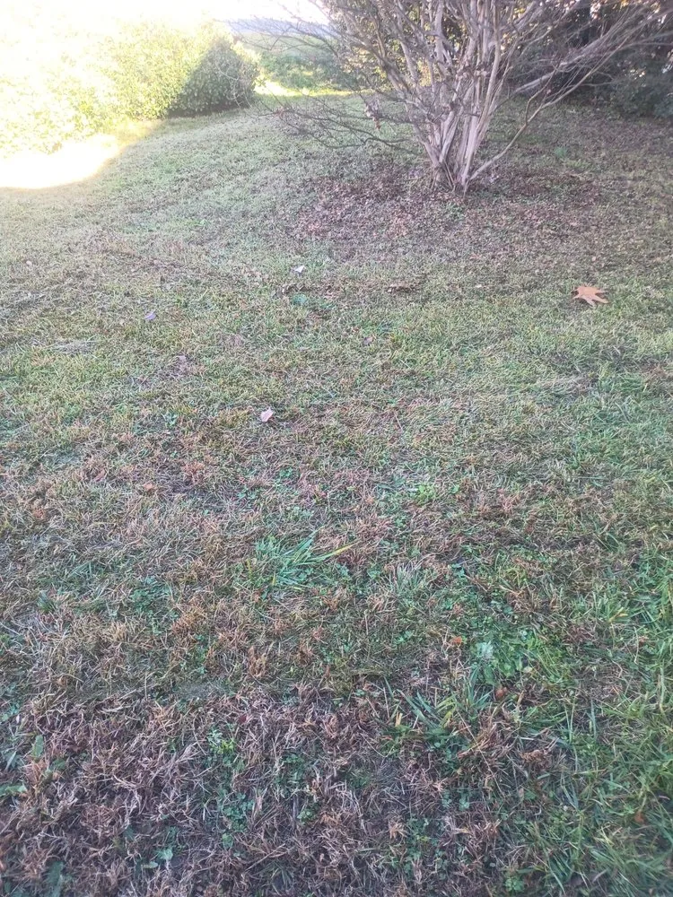 Reliable lawn care service for homes in Warrenton, NC by Lush Country