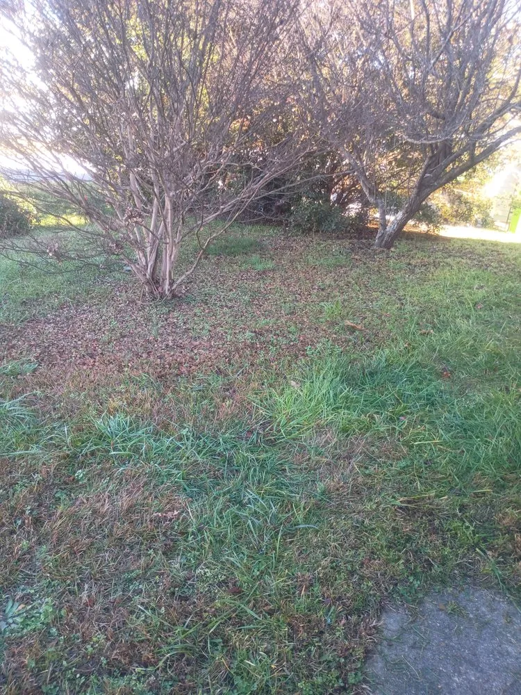 Custom landscaping services in Warrenton, NC - Lush Country
