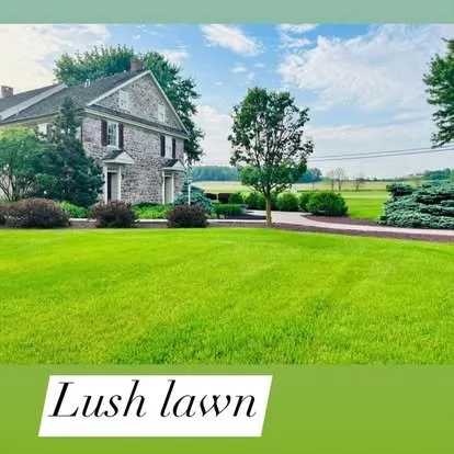 Professional residential landscaping with custom design in Reading, PA by Lush Emerald Landscapes