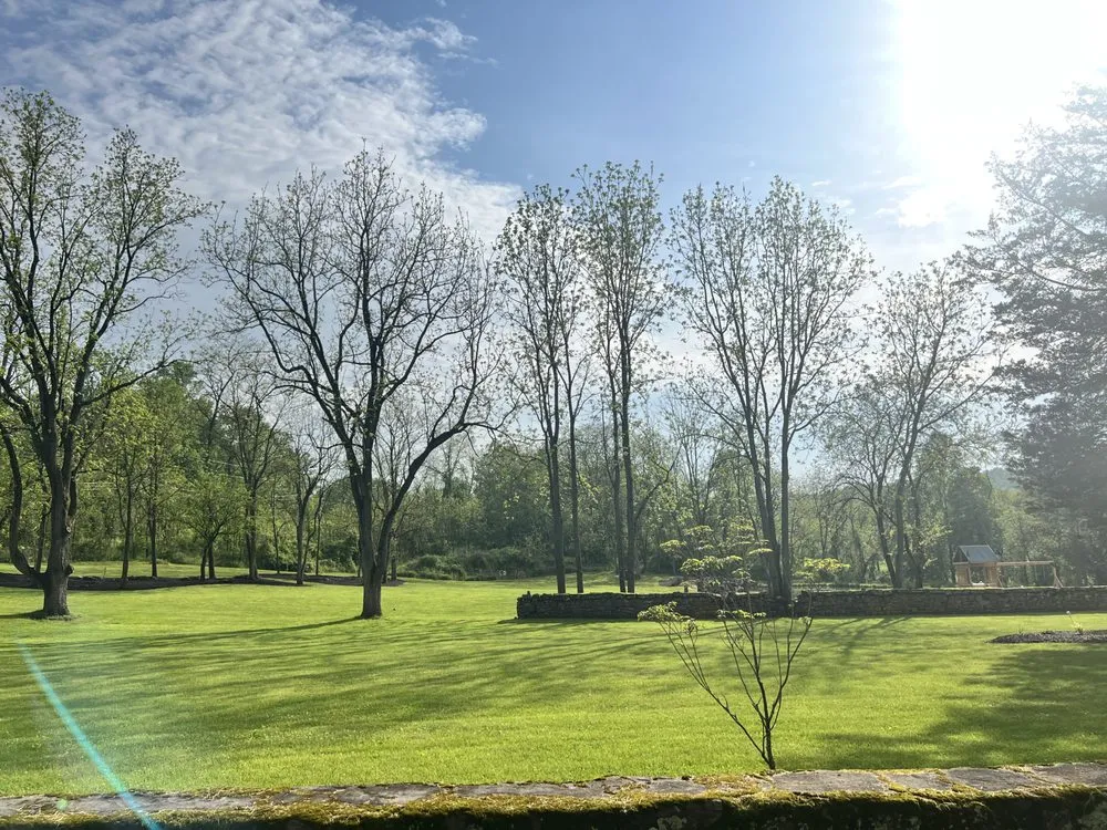 Local yard cleanup service in Reading, PA - Lush Emerald Landscapes