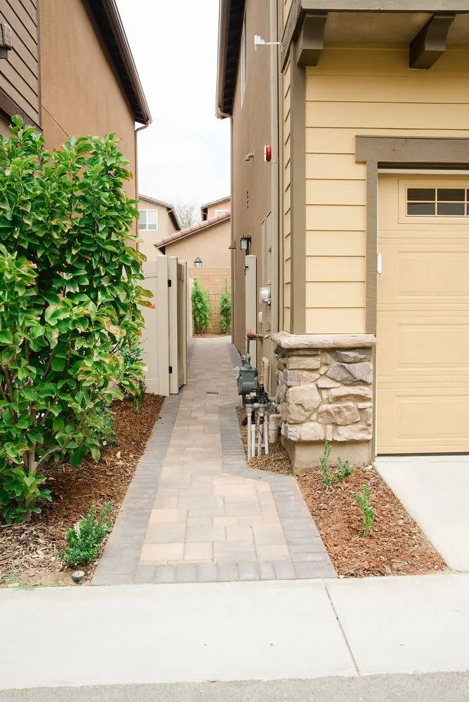 Local yard cleanup service for year-round maintenance across Los Angeles, CA - Lush Gardens