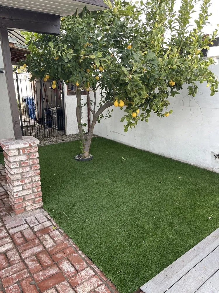 Affordable landscape design for outdoor upgrades across Los Angeles, CA - Lush Gardens
