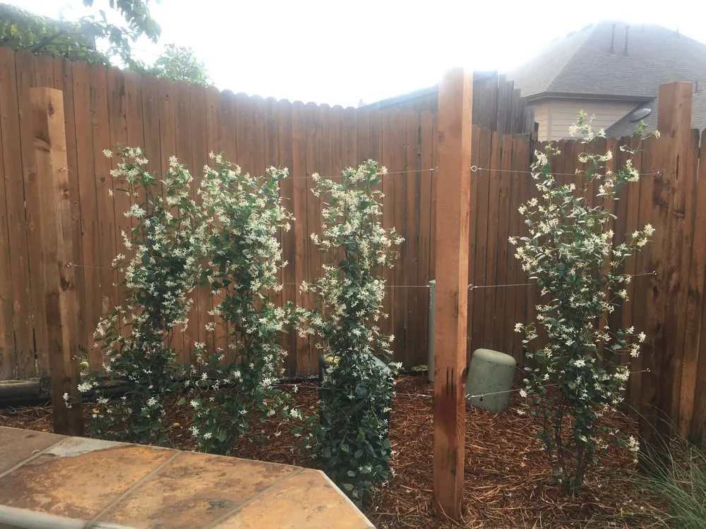 Top-rated residential landscaping for outdoor upgrades across Arlington, TX - Lush GardenWorks