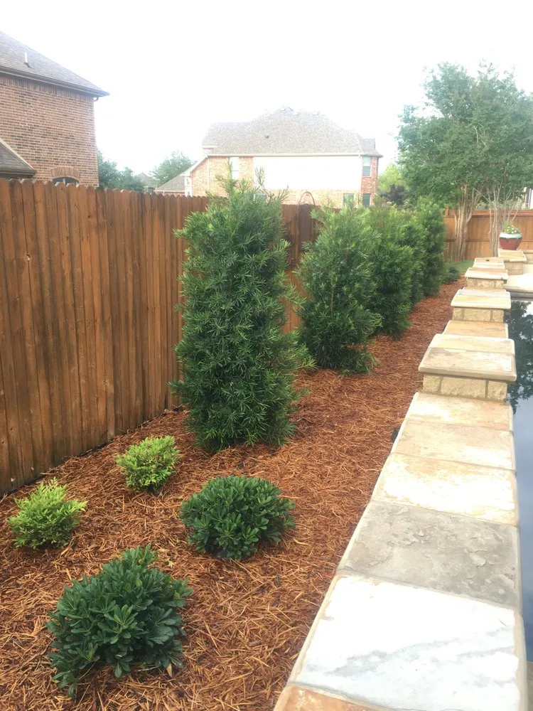Custom residential landscaping for residential properties in Arlington, TX by Lush GardenWorks