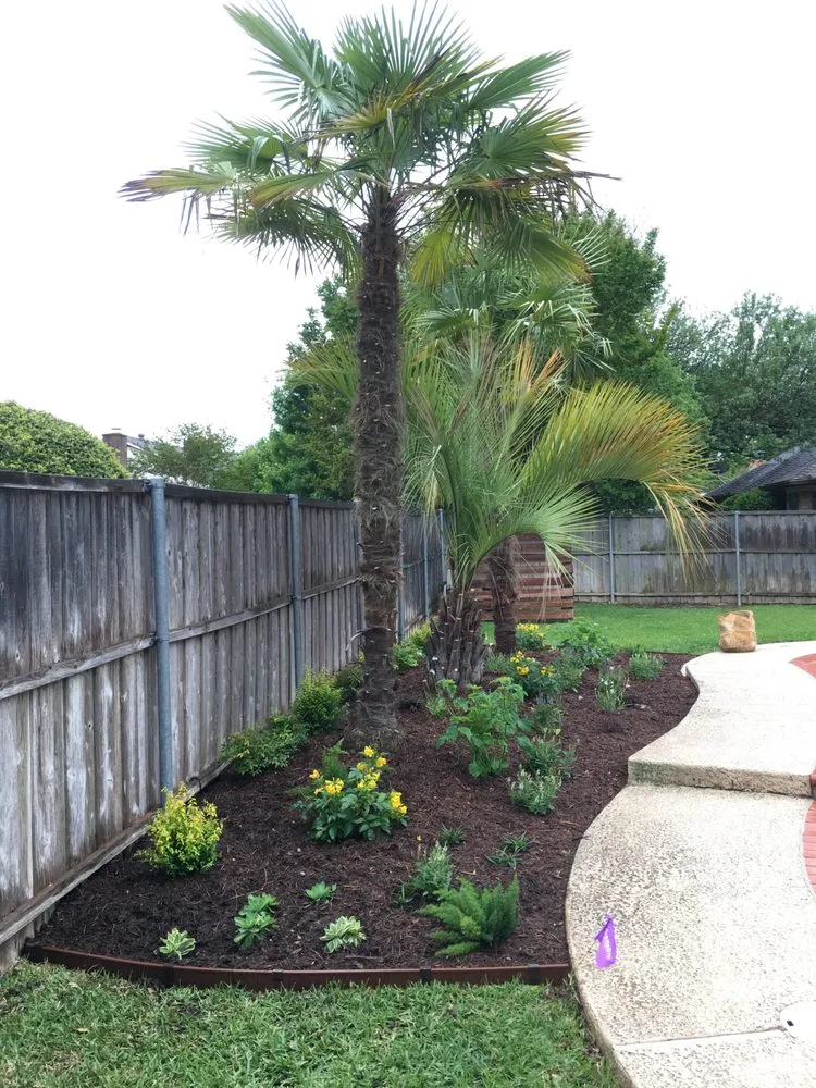Custom garden landscaping in Arlington, TX - Lush GardenWorks