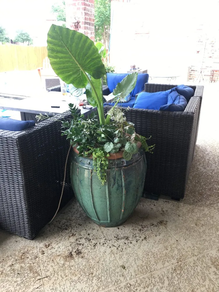 Top-rated landscape installation experts serving Arlington, TX - Lush GardenWorks